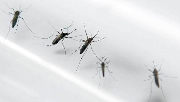 ¿Por qué el zika es la nueva amenaza para la salud en América?