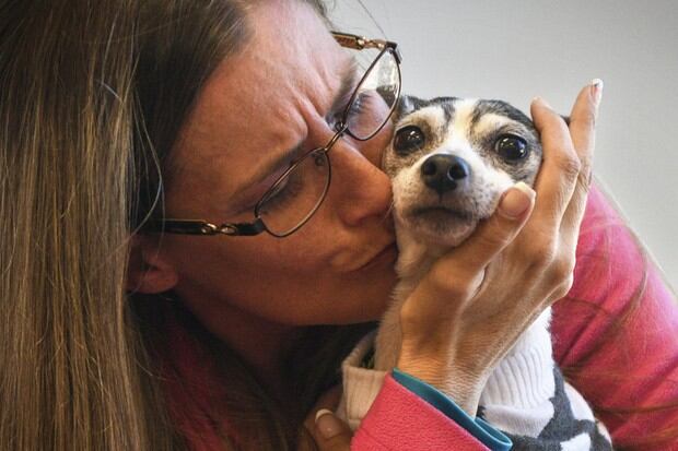 'Dutchess' escapó de su hogar en Florida en 2007 y fue encontrada más de una década después. (Fotos: AP)