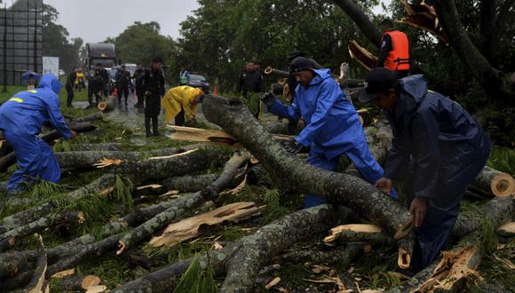 Trabajadores de la alcaldía cortan un árbol que cayó en la carreteara panamericana sur, en Rivas (Nicaragua).