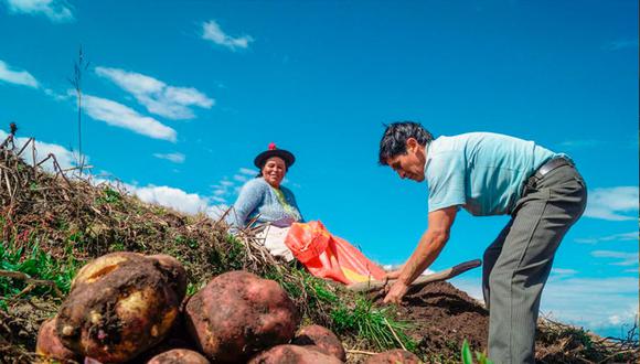 Conoce en qué fecha se entregaría el Bono Alimentario y conoce todos los detalles.