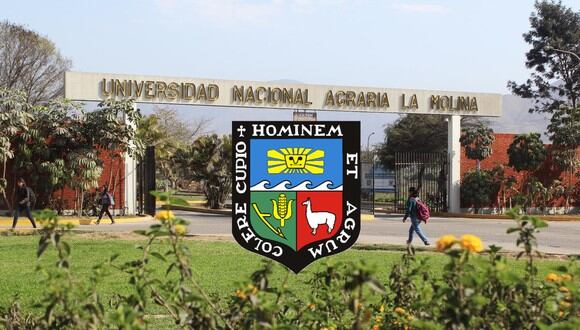 La Universidad Nacional Agraria La Molina (siglas: UNALM) es una universidad pública peruana ubicada en el distrito de La Molina en Lima, Perú. | Crédito: GEC / Composición