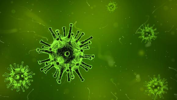 Los virus no son entes vivos. (Foto: Pixabay)
