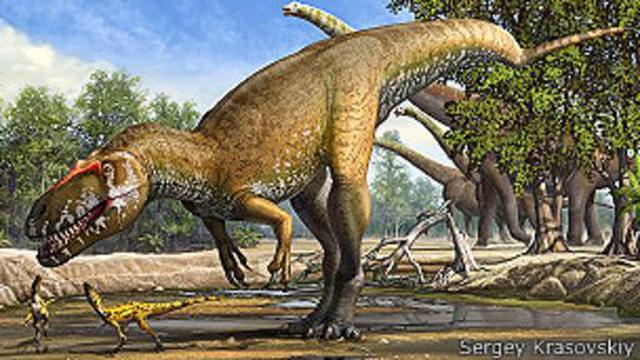 Descubren fósil del dinosaurio depredador más grande de Europa - 2