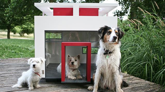 ¿Comprarías esta 'casita' de lujo para tus perros? - 1