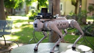 Tefi, el perro robot capaz de guiar a personas invidentes o con Alzheimer