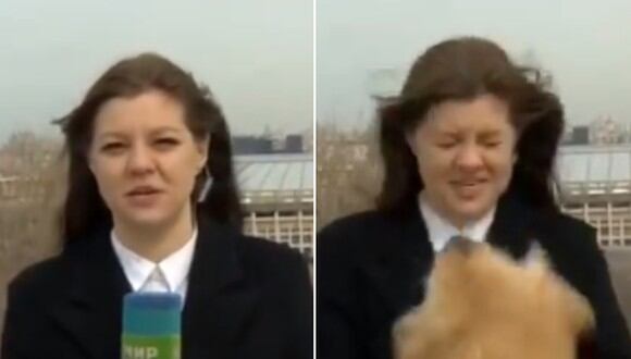 El momento en que un perro le quitó el micrófono a una periodista que informaba del tiempo en transmisión en vivo. (Foto: @mrsahuquillo / Twitter)