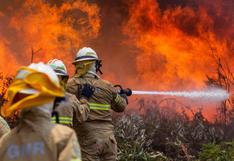 Apurímac: incendio forestal destruye 800 hectáreas de cobertura natural