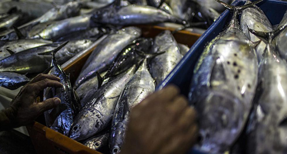 Un equipo de investigadores de Chile crearon un producto natural que extenderá la vida útil de los pescados frescos. (Foto: Getty Images)