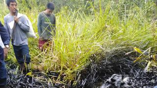 Amazonas: reportan nuevo derrame de petróleo en el Oleoducto Norperuano