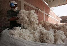 Perú firma acuerdo con Brasil y la OIT para promover industria algodonera