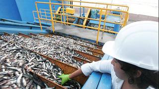 Exportaciones en sector pesquero suman US$3.000 en el 2013