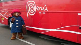 Oso Paddington recibió su DNI amarillo en sede de Reniec