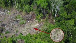 La tribu amazónica no contactada cuya existencia fue confirmada por un dron | VIDEO