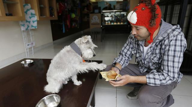 La panadería para perros que se ha vuelto famosa en Colombia - 1