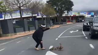 Mujer ayudó a una familia de patos a cruzar la pista
