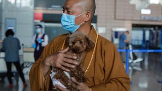 Zhi Xiang, el monje chino que salvó a 8.000 perros callejeros | FOTOS