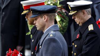 Los hermanos Guillermo y Harry estarán separados durante el funeral del príncipe Felipe