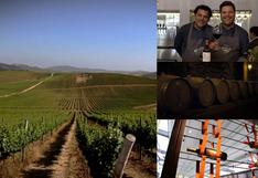 Ruta del Vino en Chile: Valle del Maipo