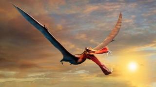 Descubren un dinosaurio volador que era “lo más parecido a un dragón”