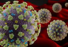 COVID-19 | La variante británica del coronavirus está presente en al menos 60 países 