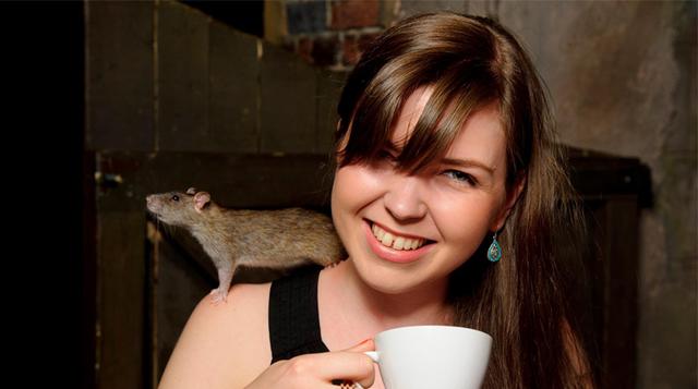 Conoce el Rat Café donde puedes tomar una bebida junto a ratas  - 1