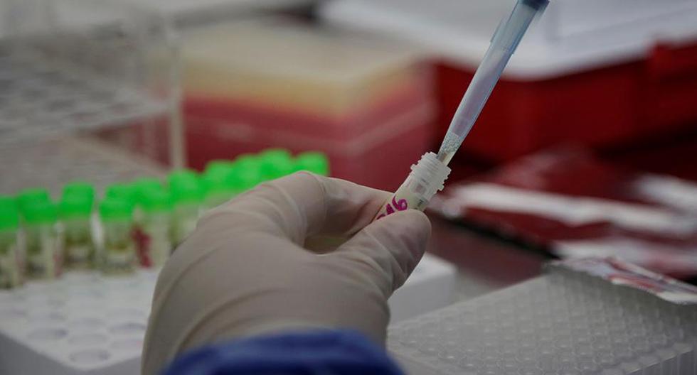 Al menos seis laboratorios están interesados en probar sus vacunas contra la COVID-19 en el país. (Foto: Efe)