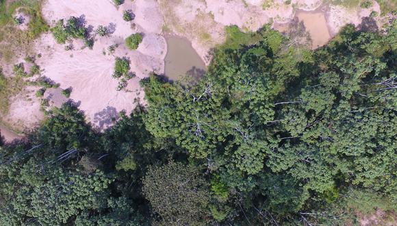 Una foto aérea tomada por un drone sobre la concesión minera ‘Paolita II’, que es una de las que permite campos de experimentación y reforestación. Foto: Cincia.