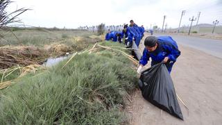 Día del Medio Ambiente: realizan jornada de limpieza en Pantanos de Villa