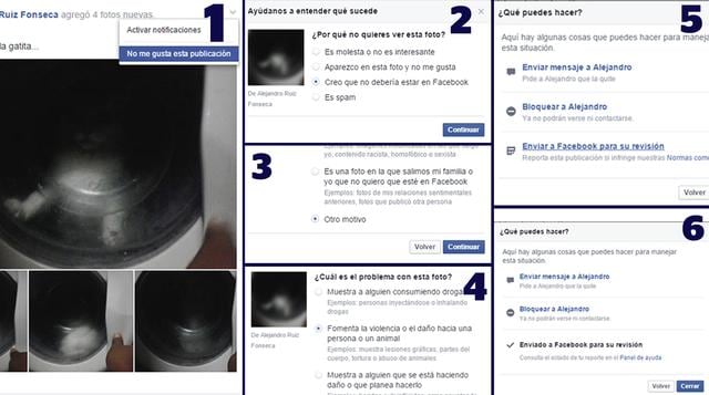 Facebook: metió gato a lavadora y causa indignación - 2