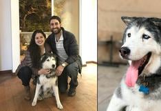 WUF: pareja adoptó a un perro con una discapacidad física y lo cuidó durante su último año de vida