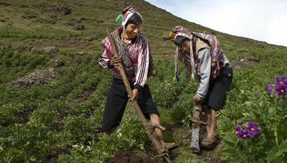 Rescate y empoderamiento, estos son algunos objetivos del encuentro que reunirá a los agricultores jóvenes del Perú. (Foto: Slow Food)