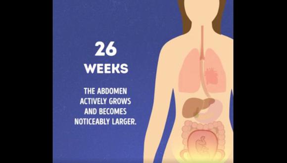 Cambios en el cuerpo de una mujer durante el embarazo [VIDEO]