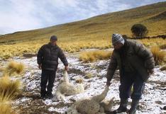 Clima: heladas afectan a Santa Ana, distrito de Huancavelica