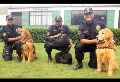 Chosica: Cinco canes de la PNP refuerzan búsqueda de desaparecidos
