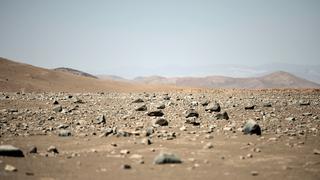 Atacama | ¿Cómo llega la vida al lugar más árido de la Tierra?