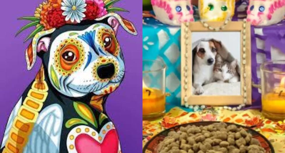 Día de los muertos de mascotas: cuándo se celebra y por qué se coloca altares con sus fotos
