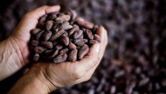 Exportación de café sumó US$323 millones de enero a agosto