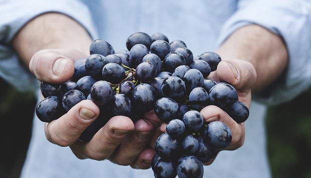Si comes las uvas a la medianoche con mucha fe, tus deseos se cumplirán (Foto: Pixabay)