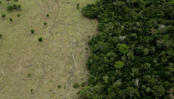 La venta ilegal de tierras es un problema en toda la Amazonía. (Foto: Getty Images)