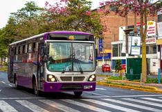 Más de 500 buses recorrerán ruta del corredor morado a partir de este lunes 4 de marzo  