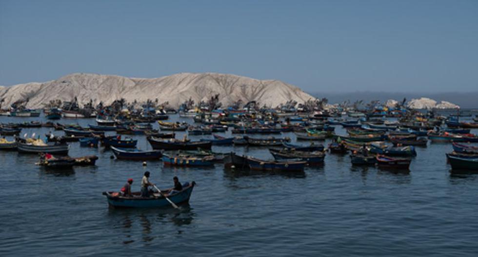 ¿Qué dejo el 2018 para el mar peruano? El sector pesca emitió decretos para enfrentar la pesca ilegal | Foto: Oceana Perú