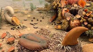 Los animales marinos de hace 450 millones de años respiraban por las patas