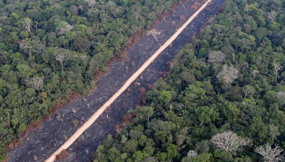 El gobierno de Bolsonaro aboga por el desarrollo en áreas protegidas de la Amazonía. (Foto: Reuters).
