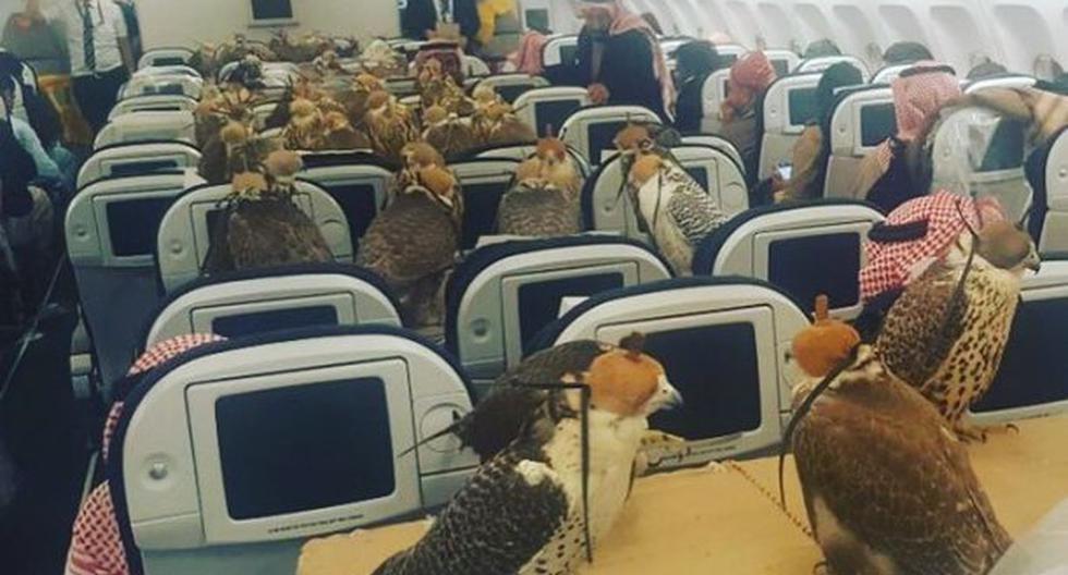 Es bastante común ver a las personas acaudaladas de los países árabes transportando sus pájaros en avión. (Foto: Lensoo)