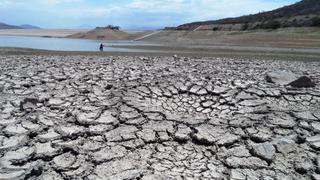 La falta de lluvias pone en peligro la campaña agrícola