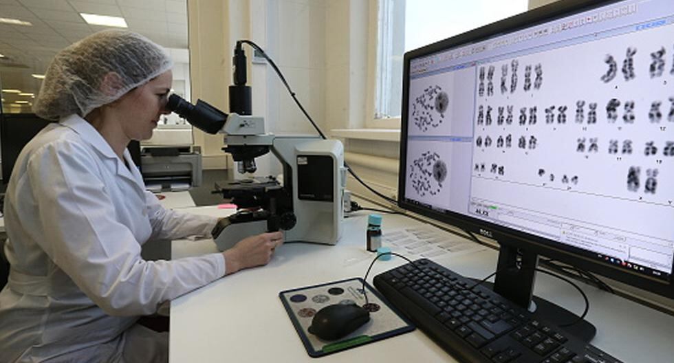 Un equipo de investigadores, liderado por españoles, ha descrito una nueva maquinaria de reparación de errores en el ADN. (Foto: Getty Images)