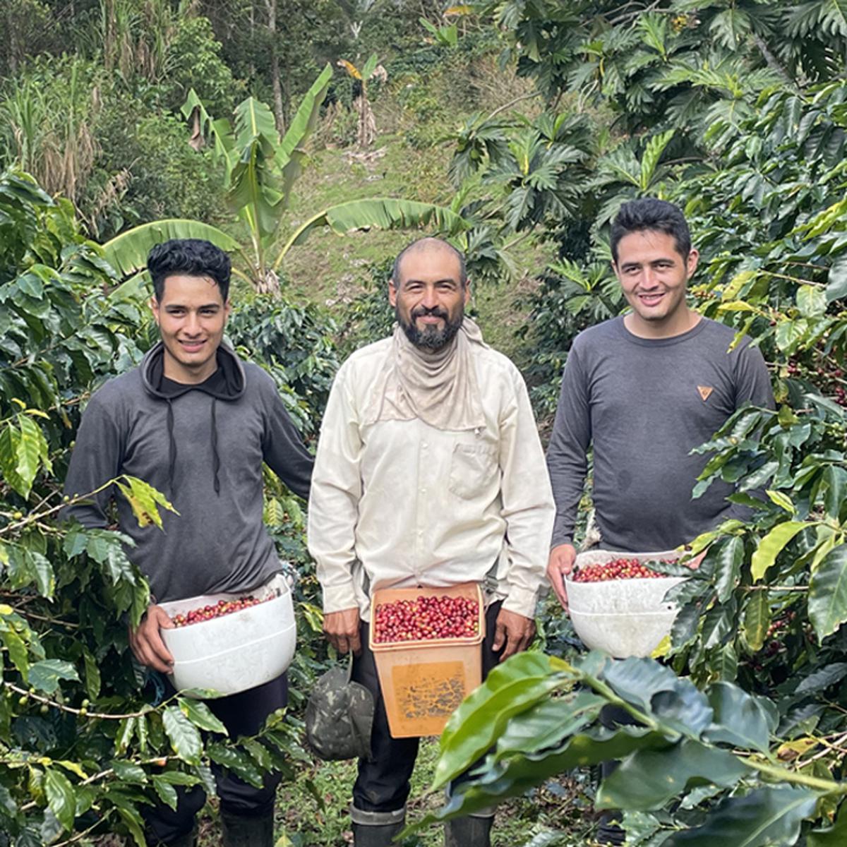 Café Especialidad Perú La selva en grano