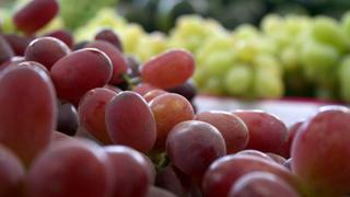 Minagri: Perú es el quinto exportador de uvas a nivel mundial
