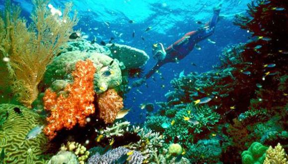 Plan para salvar la Gran Barrera de Coral tendría fallas
