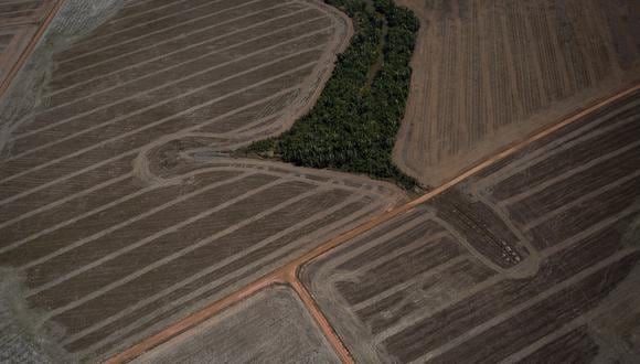 sobrevuelo sobre un bosque deforestado en Rondonia, Brasil. Foto: Bruno Kelly / Amazon Watch.